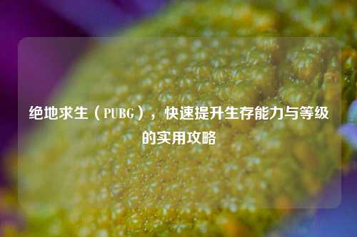 绝地求生(PUBG),快速提升生存能力与等级的实用攻略