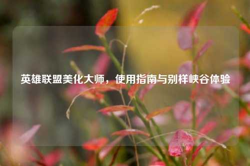英雄联盟美化大师,使用指南与别样峡谷体验