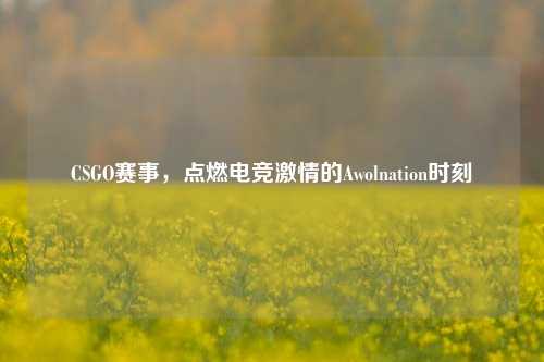 CSGO赛事，点燃电竞激情的Awolnation时刻