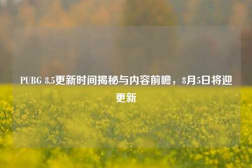 PUBG 8.5更新时间揭秘与内容前瞻,8月5日将迎更新