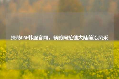 探秘DNF韩服官网,领略阿拉德大陆前沿风采