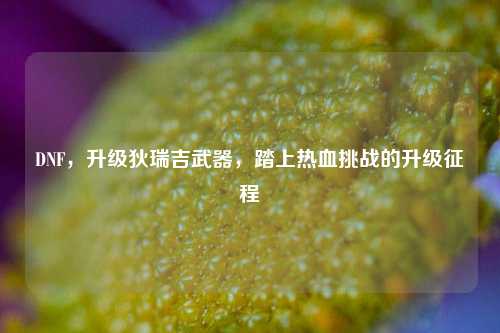 DNF，升级狄瑞吉武器，踏上热血挑战的升级征程