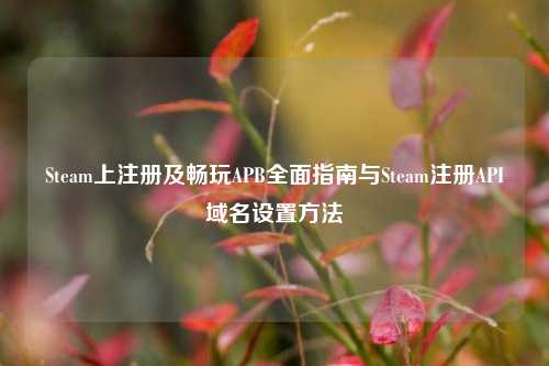 Steam上注册及畅玩APB全面指南与Steam注册API域名设置方法