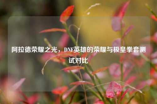 阿拉德荣耀之光,DNF英雄的荣耀与极皇拳套测试对比