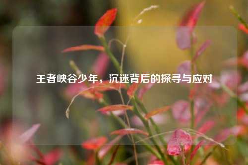 王者峡谷少年,沉迷背后的探寻与应对