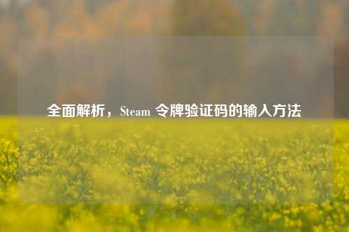 全面解析,Steam 令牌验证码的输入方法