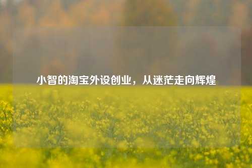 小智的淘宝外设创业,从迷茫走向辉煌