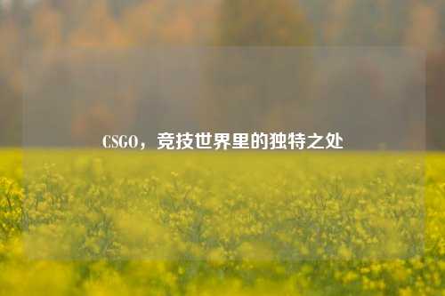 CSGO,竞技世界里的独特之处
