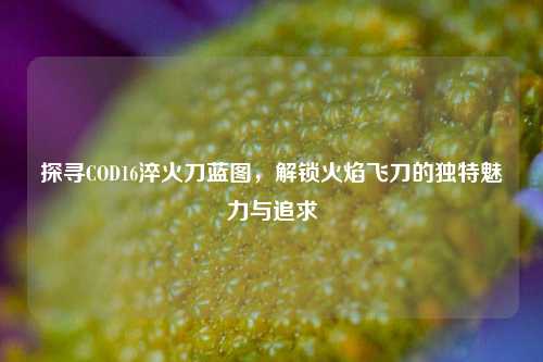 探寻COD16淬火刀蓝图,解锁火焰飞刀的独特魅力与追求