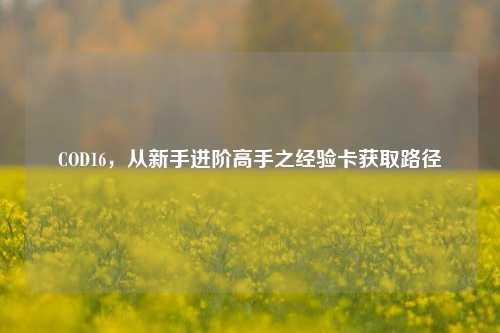COD16,从新手进阶高手之经验卡获取路径