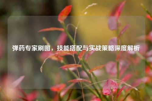 弹药专家刷图,技能搭配与实战策略深度解析