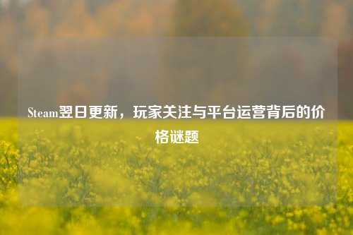 Steam翌日更新,玩家关注与平台运营背后的价格谜题
