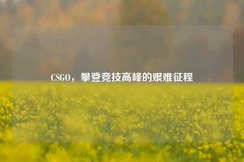 CSGO,攀登竞技高峰的艰难征程