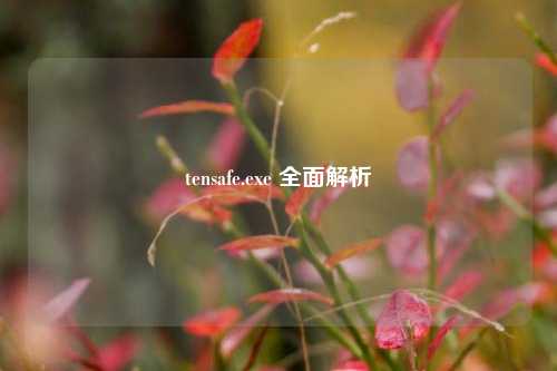 tensafe.exe 全面解析
