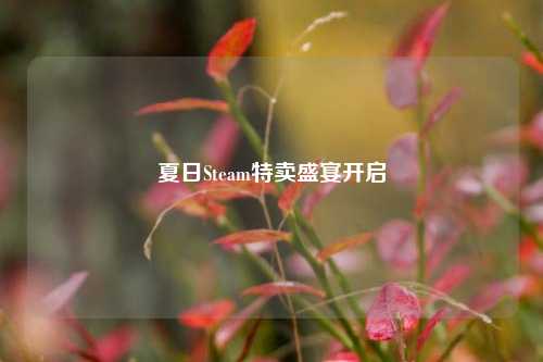 夏日Steam特卖盛宴开启