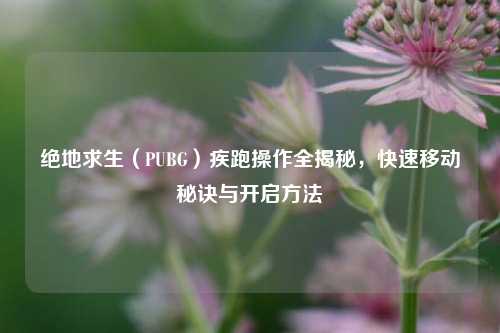 绝地求生（PUBG）疾跑操作全揭秘，快速移动秘诀与开启方法