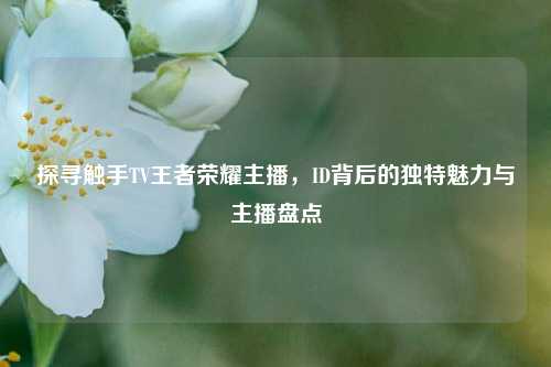 探寻触手TV王者荣耀主播,ID背后的独特魅力与主播盘点