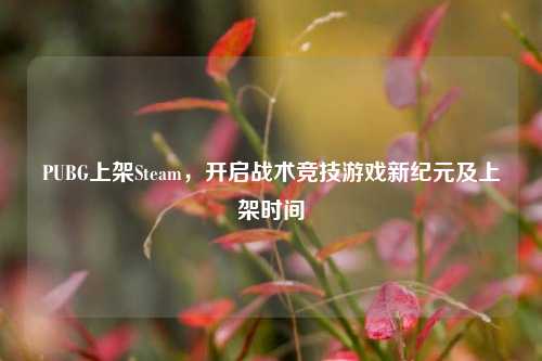 PUBG上架Steam，开启战术竞技游戏新纪元及上架时间