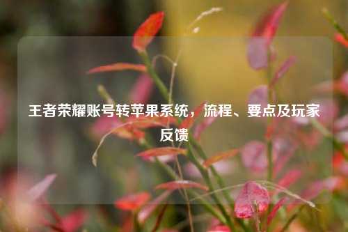 王者荣耀账号转苹果系统,流程、要点及玩家反馈