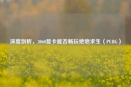 深度剖析,3060显卡能否畅玩绝地求生(PUBG)