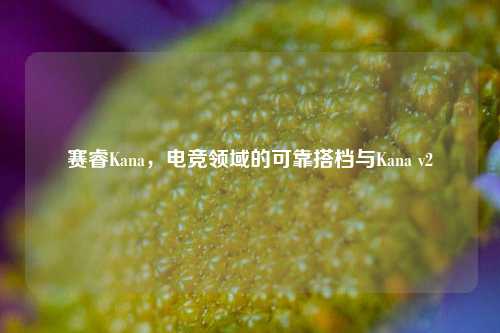 赛睿Kana,电竞领域的可靠搭档与Kana v2