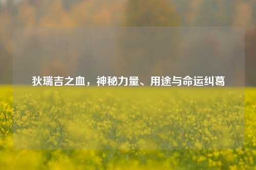 狄瑞吉之血,神秘力量、用途与命运纠葛