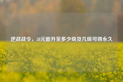 逆战战令,58元能升至多少级及几级可得永久