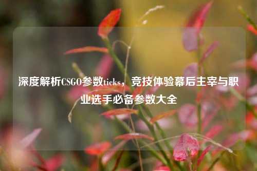 深度解析CSGO参数ticks,竞技体验幕后主宰与职业选手必备参数大全