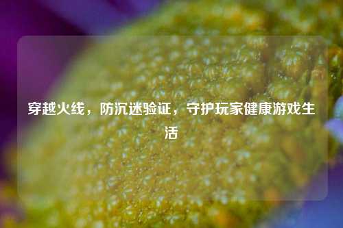 穿越火线，防沉迷验证，守护玩家健康游戏生活