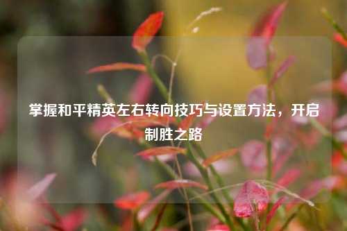 掌握和平精英左右转向技巧与设置方法,开启制胜之路