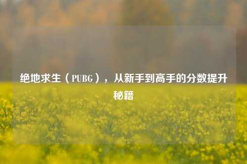 绝地求生(PUBG),从新手到高手的分数提升秘籍