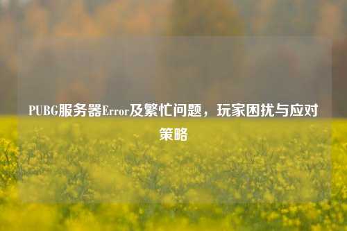 PUBG服务器Error及繁忙问题,玩家困扰与应对策略