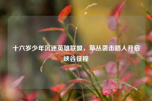 十六岁少年沉迷英雄联盟，草丛袭击路人开启峡谷征程