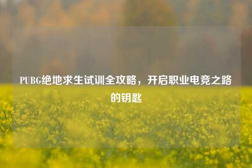PUBG绝地求生试训全攻略，开启职业电竞之路的钥匙