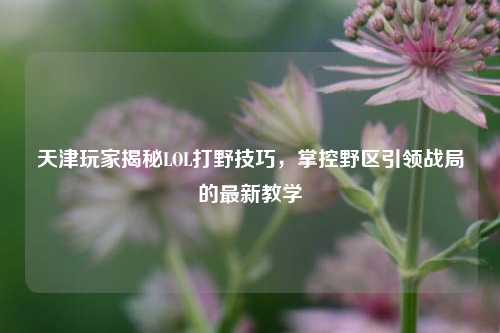 天津玩家揭秘LOL打野技巧,掌控野区引领战局的最新教学
