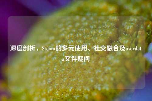 深度剖析,Steam的多元使用、社交融合及userdata文件疑问