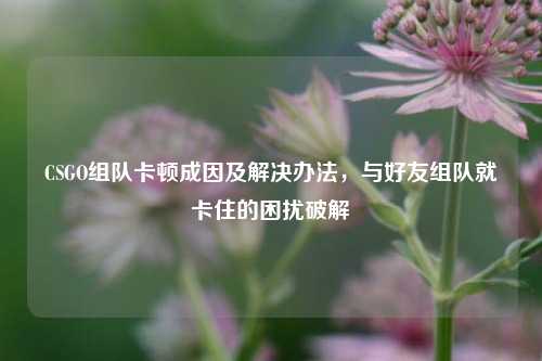 CSGO组队卡顿成因及解决办法,与好友组队就卡住的困扰破解