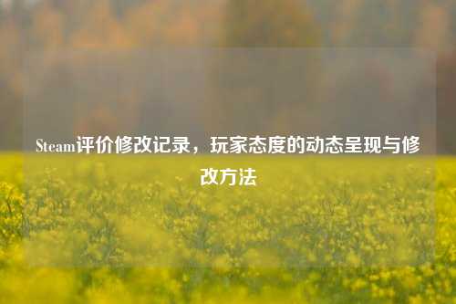 Steam评价修改记录,玩家态度的动态呈现与修改方法