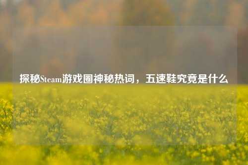 探秘Steam游戏圈神秘热词,五速鞋究竟是什么