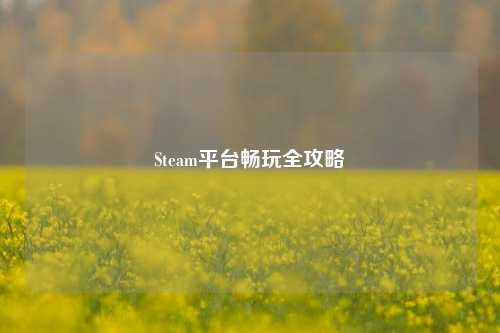 Steam平台畅玩全攻略
