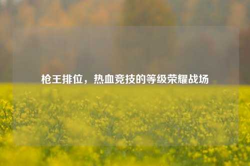 枪王排位，热血竞技的等级荣耀战场