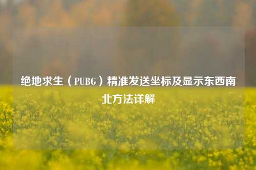 绝地求生(PUBG)精准发送坐标及显示东西南北方法详解