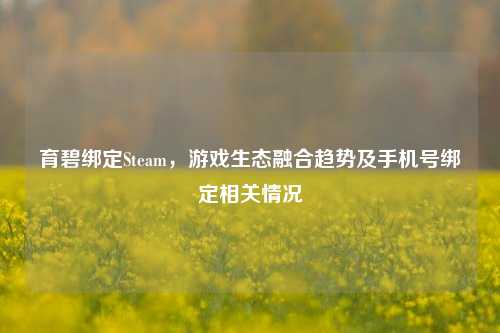 育碧绑定Steam，游戏生态融合趋势及手机号绑定相关情况