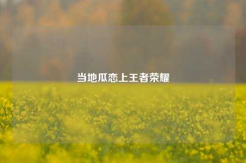 当地瓜恋上王者荣耀