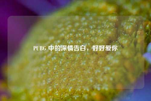 PUBG 中的深情告白,好好爱你