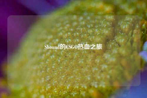 Shound的CSGO热血之旅