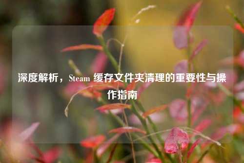 深度解析,Steam 缓存文件夹清理的重要性与操作指南