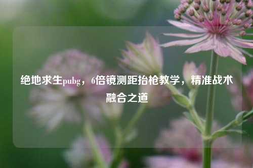 绝地求生pubg，6倍镜测距抬枪教学，精准战术融合之道