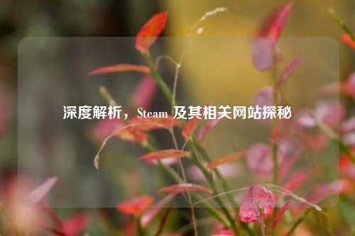 深度解析,Steam 及其相关网站探秘