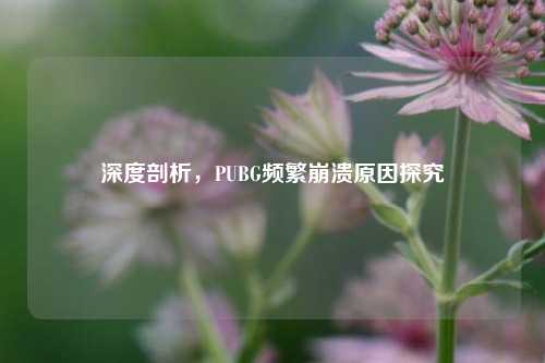 深度剖析,PUBG频繁崩溃原因探究